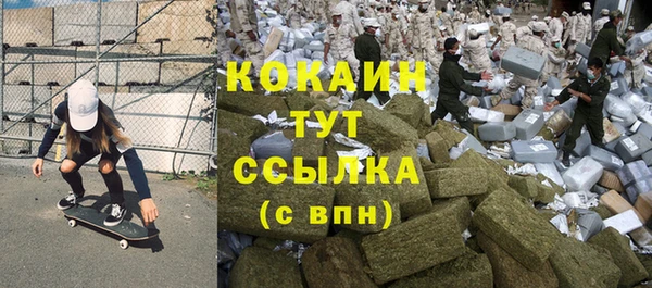 сатива Алексин