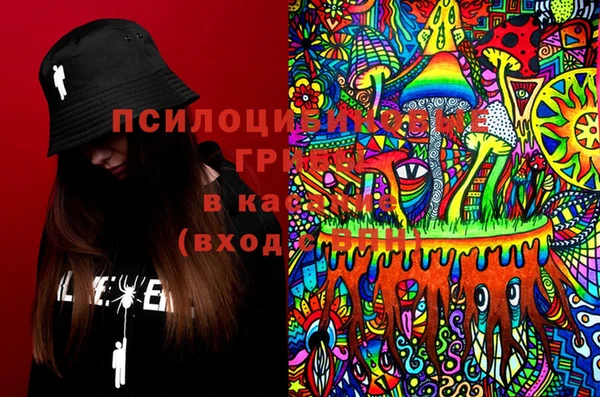 2c-b Новозыбков